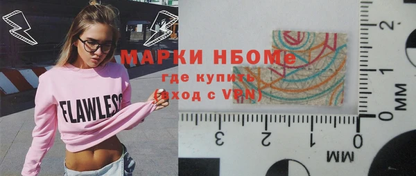 индика Зуевка