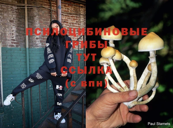 мдма Лиски